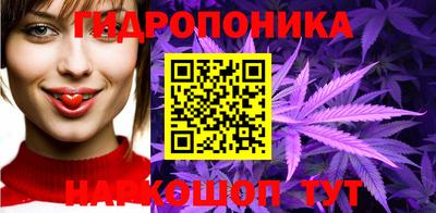 ешки Кингисепп