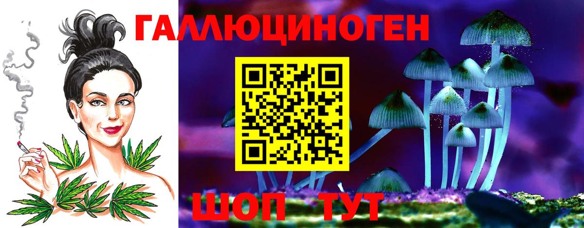 Псилоцибиновые грибы прущие грибы  Вход с VPN  Чусовой 